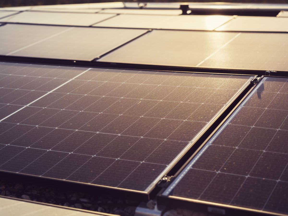 Are Solar Panels a Scam? The Pros and Cons of&nbsp;Solar